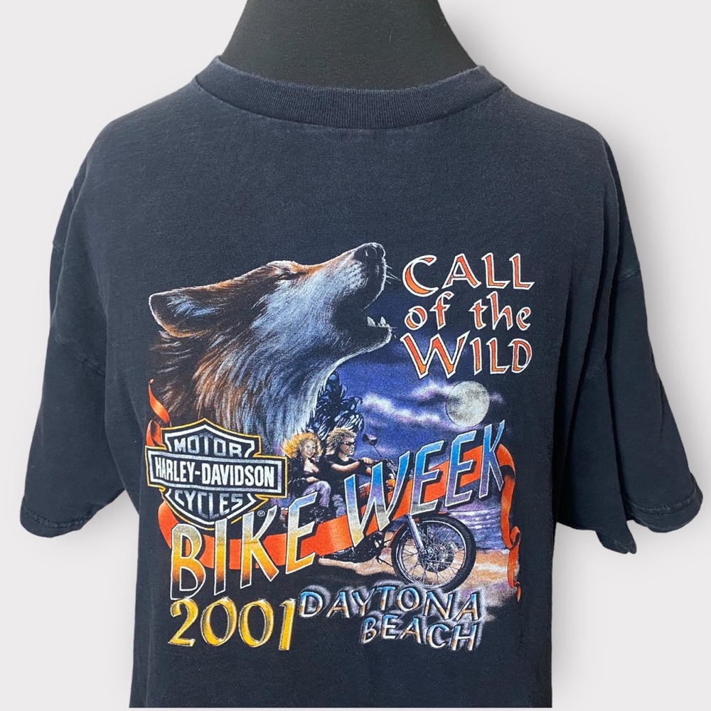 VTG HARLEY DAVIDSON HOLOUBEK BIKE WEEK TEE - Picture 5 of 10